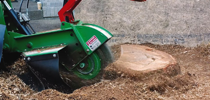 Smart Tree Service Highlights Professional Stump Grinding Solutions ...